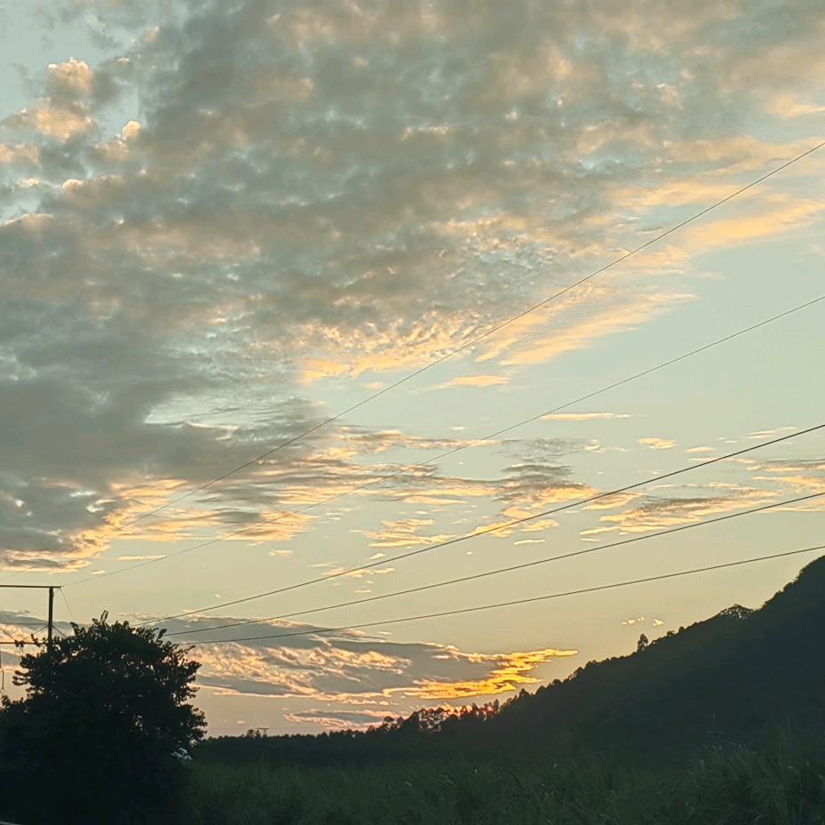 何嘉诚-门窗定制