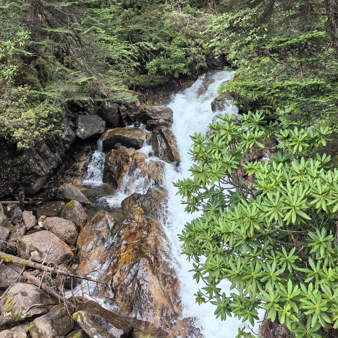 🐾₊小橘很甜🍊