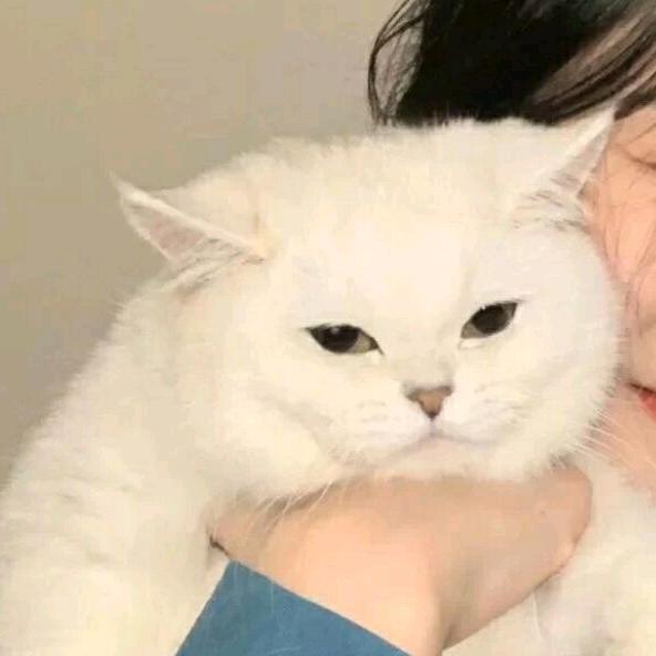 格里芬