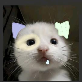 OoCo
