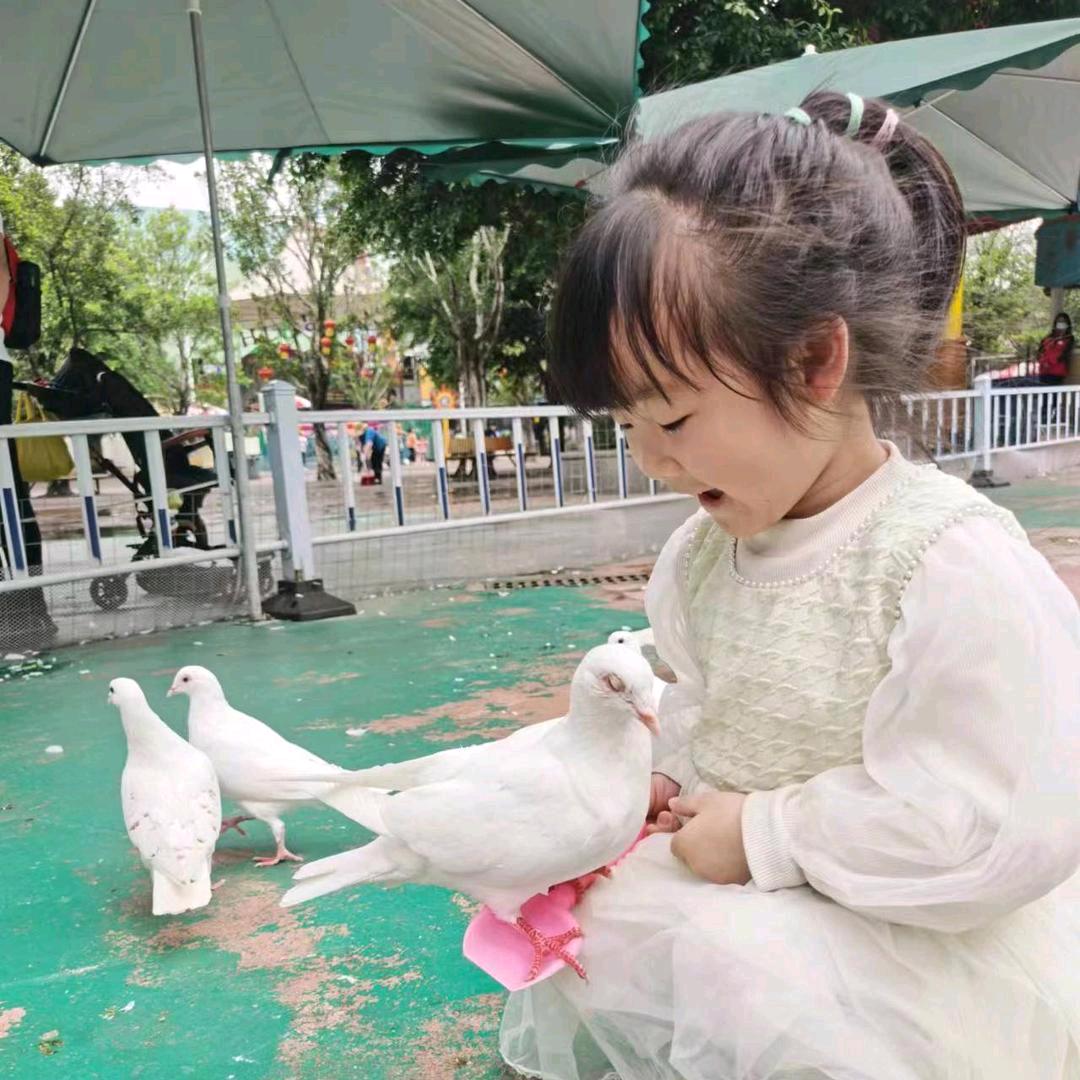 陈爷爷杜奶奶