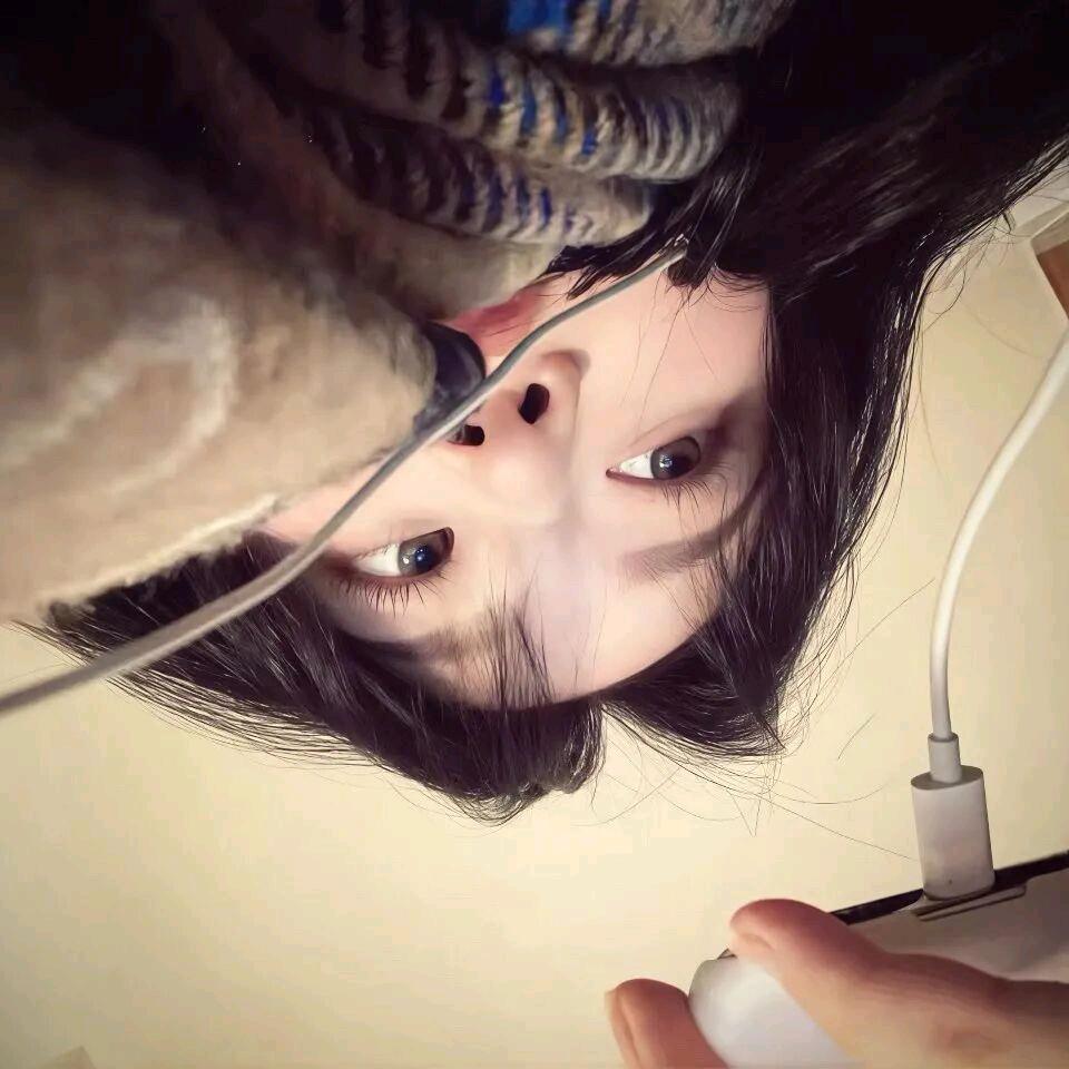 发福小豆包头像