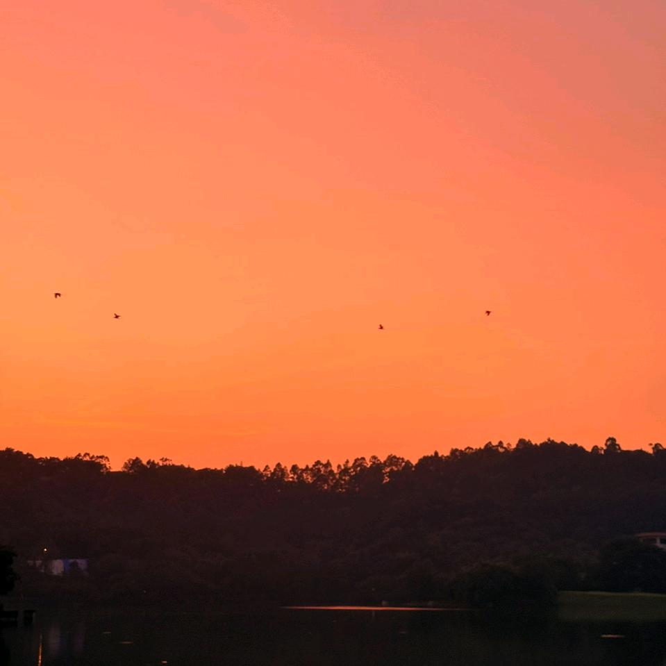 恐龙玉米的一家