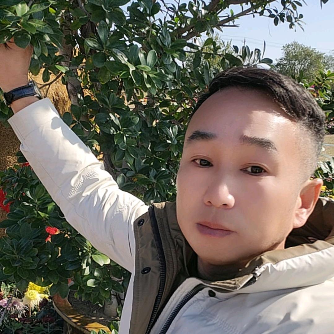 秋天的枫叶