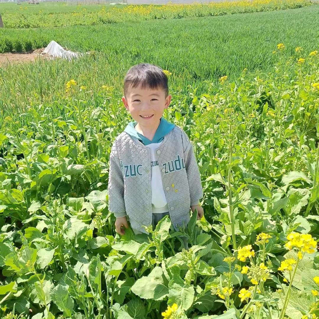赵哥哥架子工