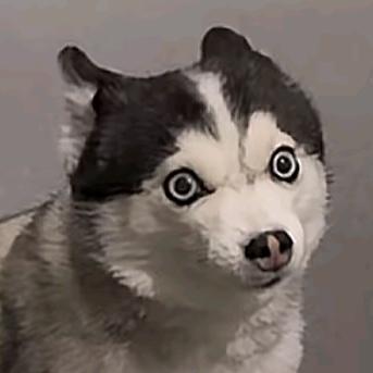 请睁眼👀看世界