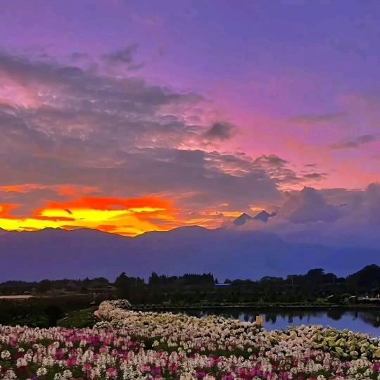 ಢ᭄ 内耗已无ᝰ᭄（一拖三）