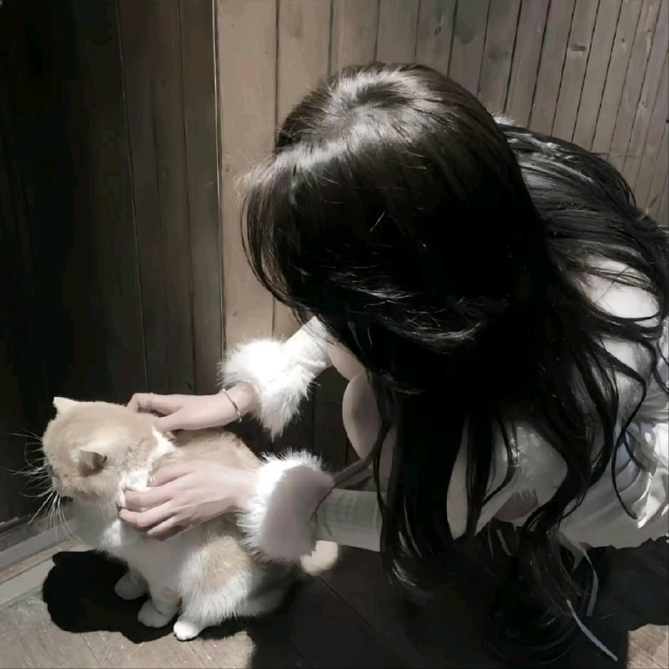 小九门窗阳光房效果图软件