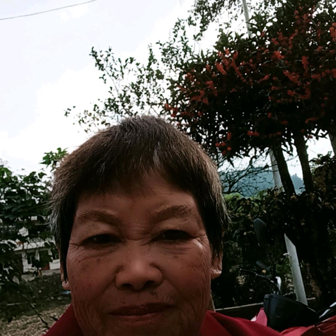 朱光秀