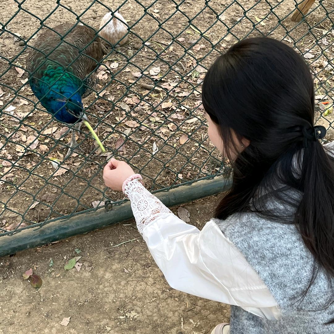 📸橙橙