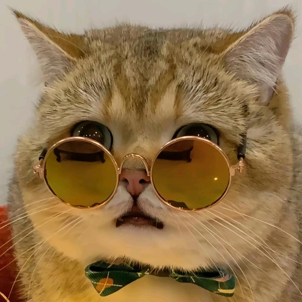 猫猫不焦绿"