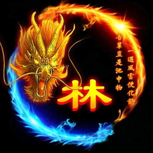 用户9736895397635
