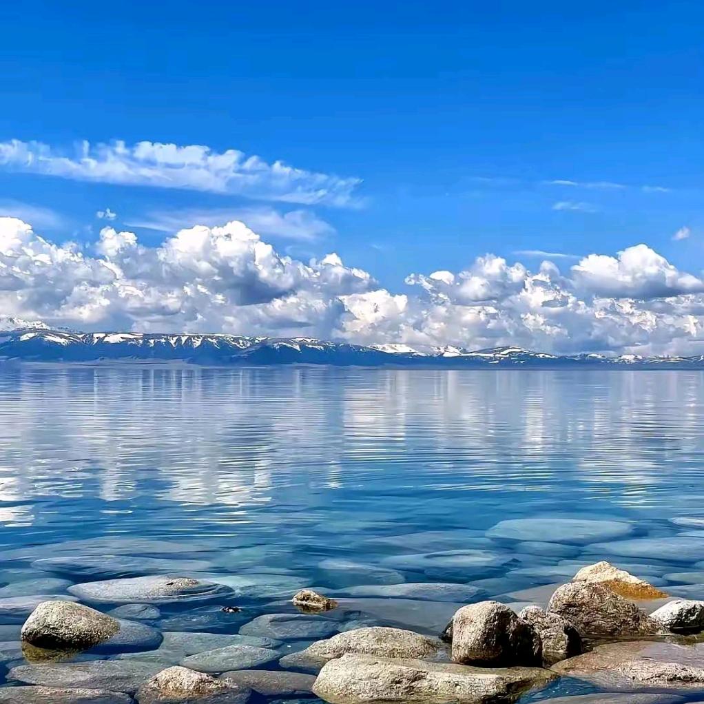麦子🌾