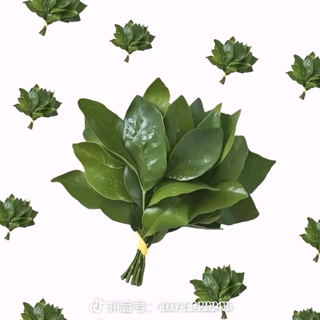 时来运转