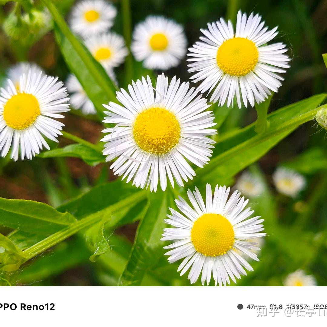 生活不简单，就想简单过啊