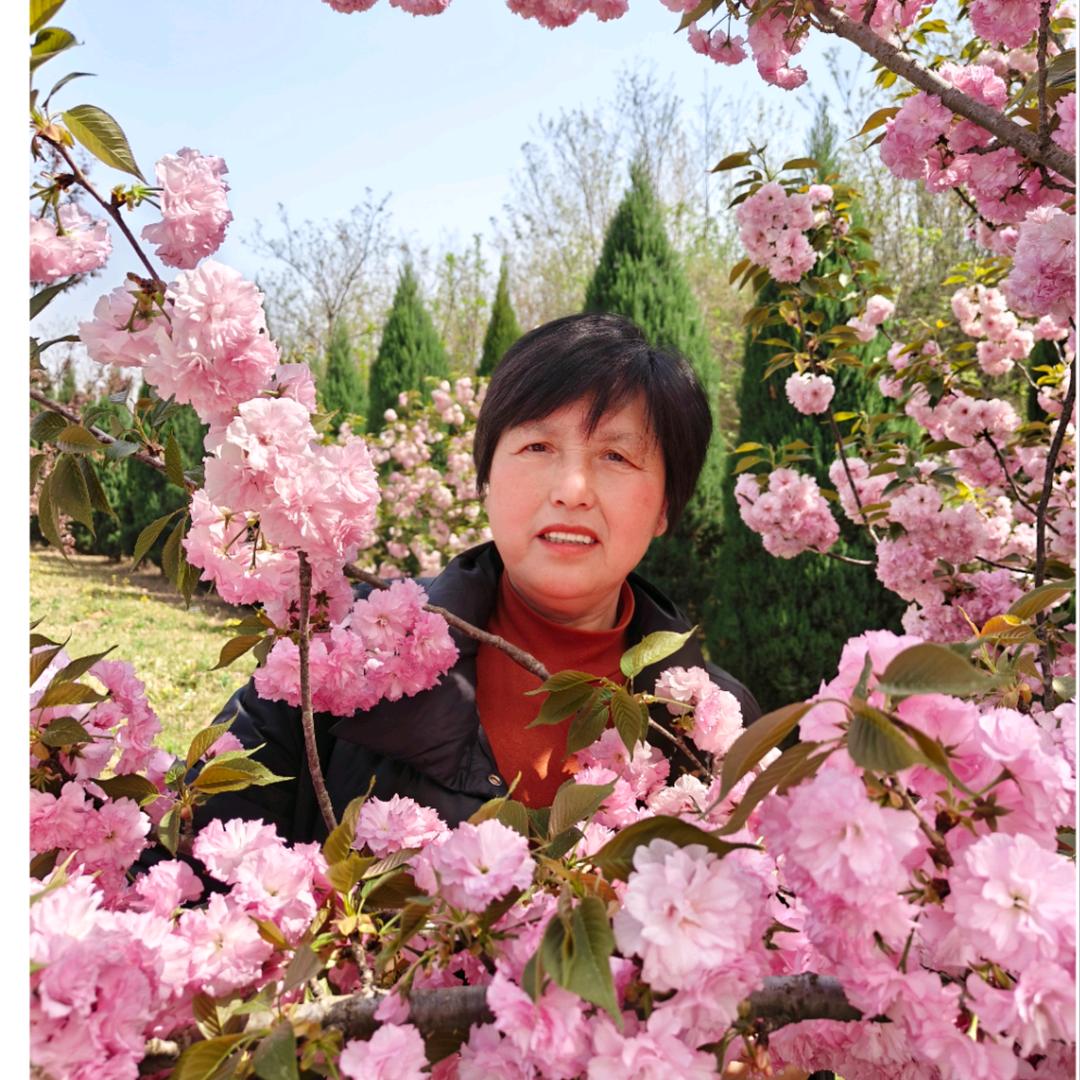 清风拂面丨