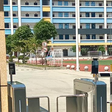 真情留给懂情人