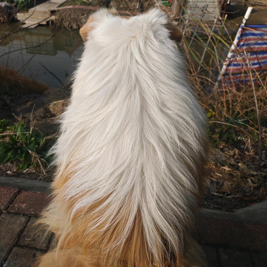 🌈运气不错(互关)🌈🐮🐮