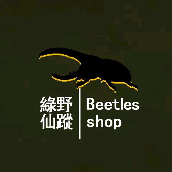 绿野仙踪-阿朝