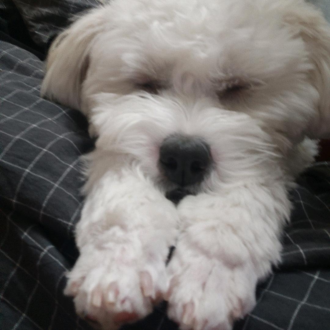 来财小点子