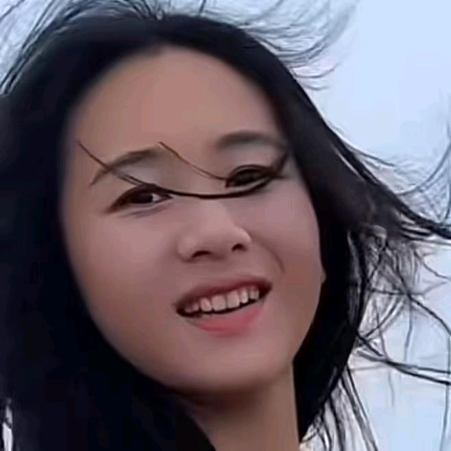 华夏游子（全球行）