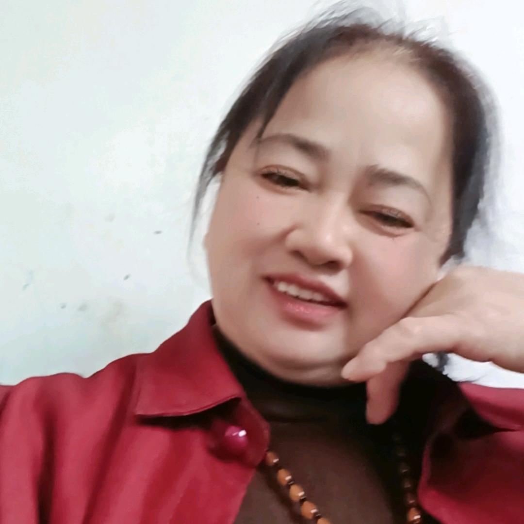 玫瑰舞韵飞扬