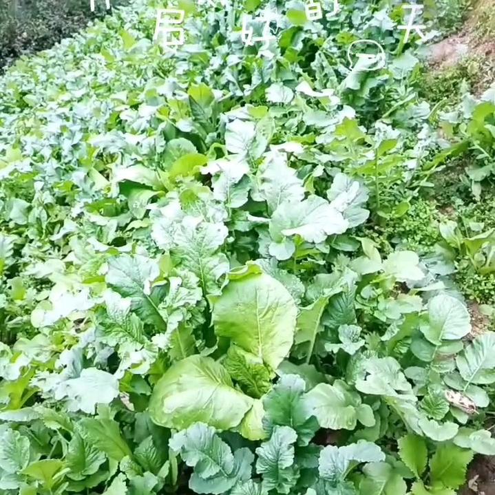缘来有你