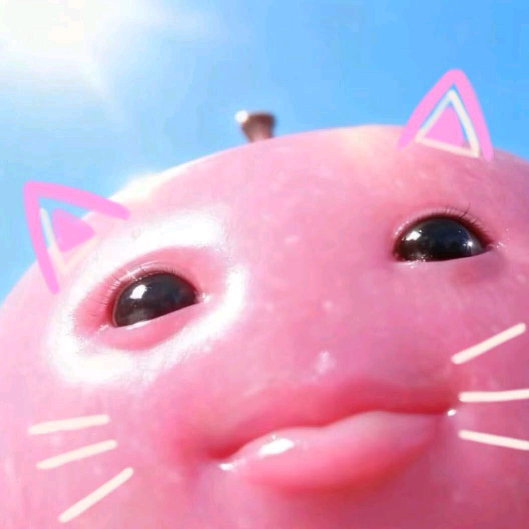 褚雨（求推荐）