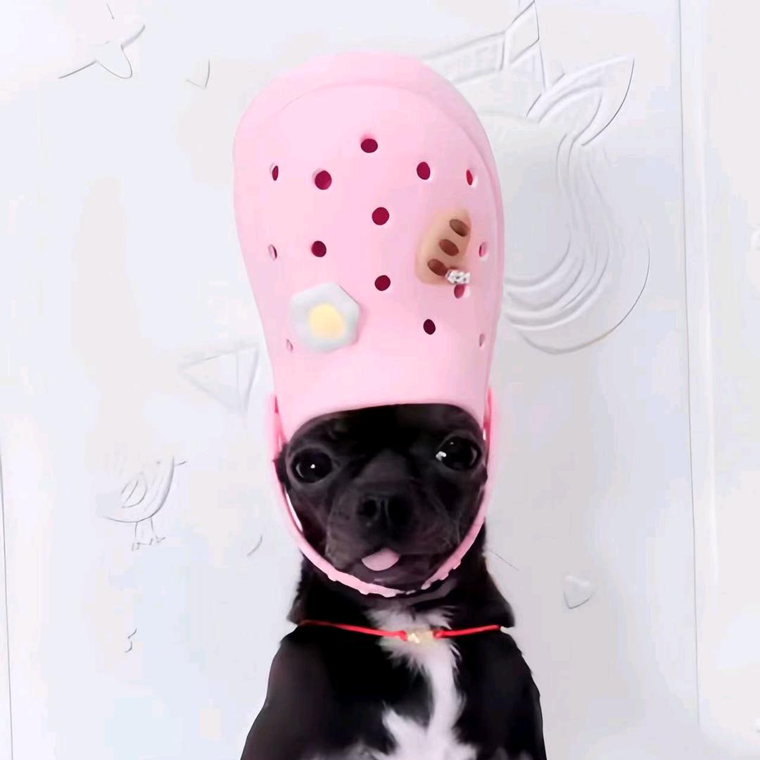 你总说好累