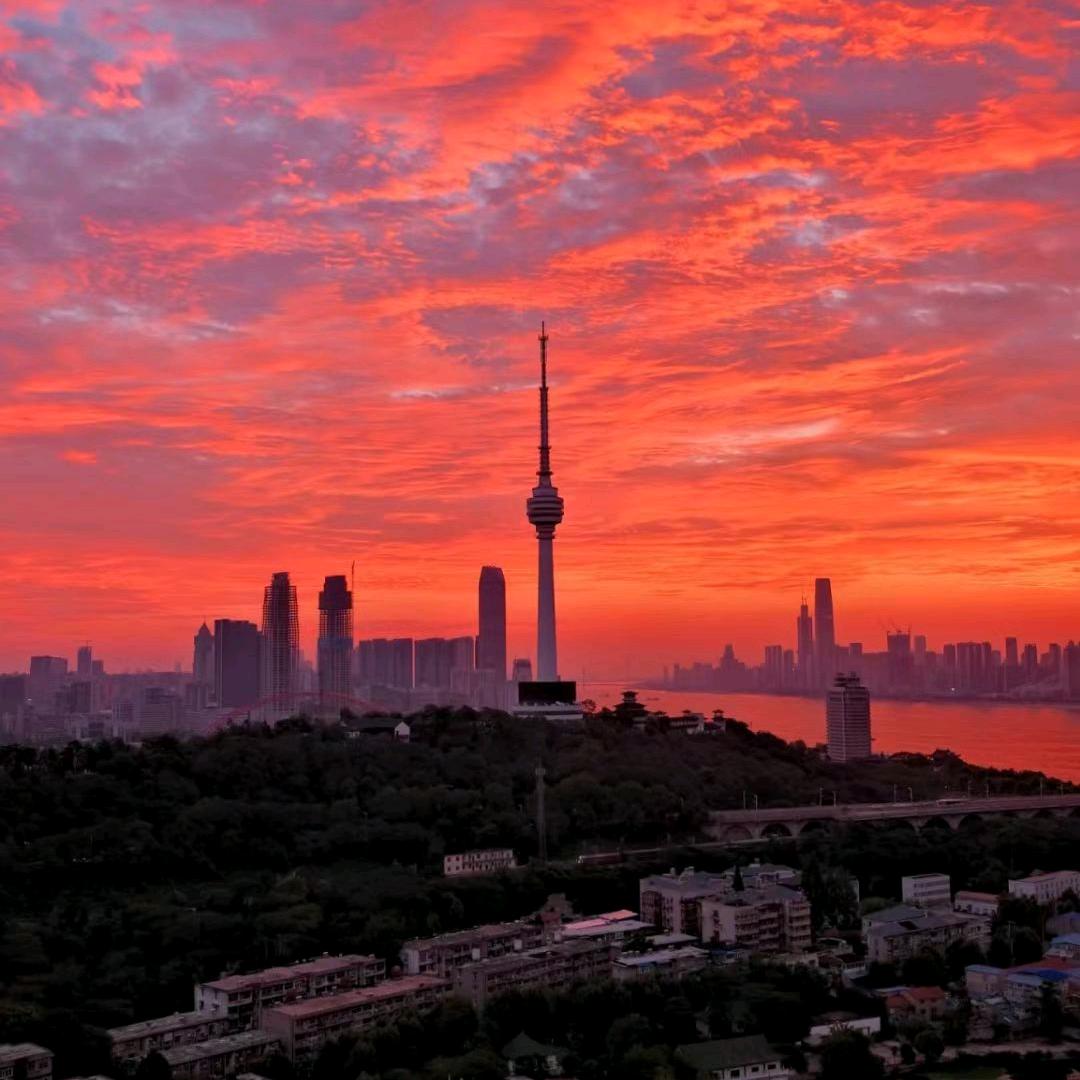 青祇-直播体验官