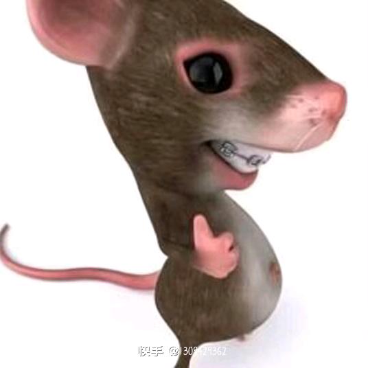 张小宝😘❤️
