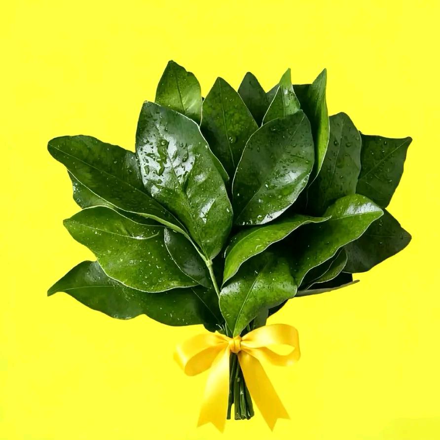 ✿遥不可及✧✿