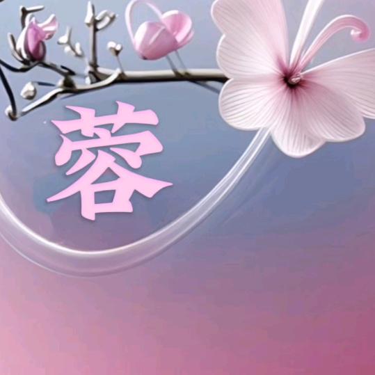 🌺芙蓉🌺