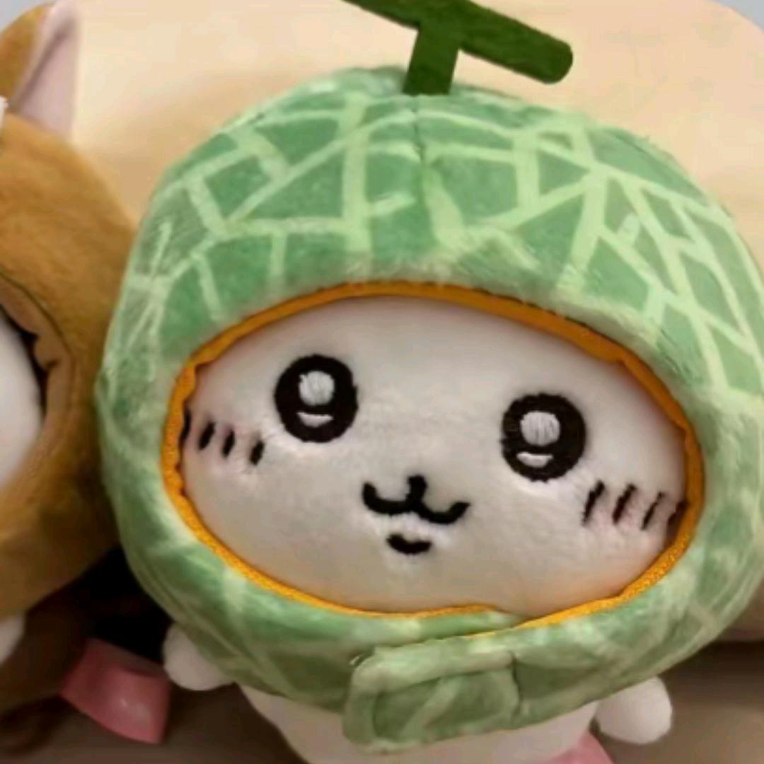 莉花星星