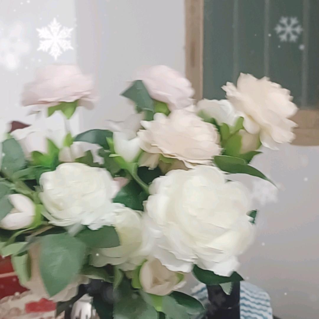 梦随缘