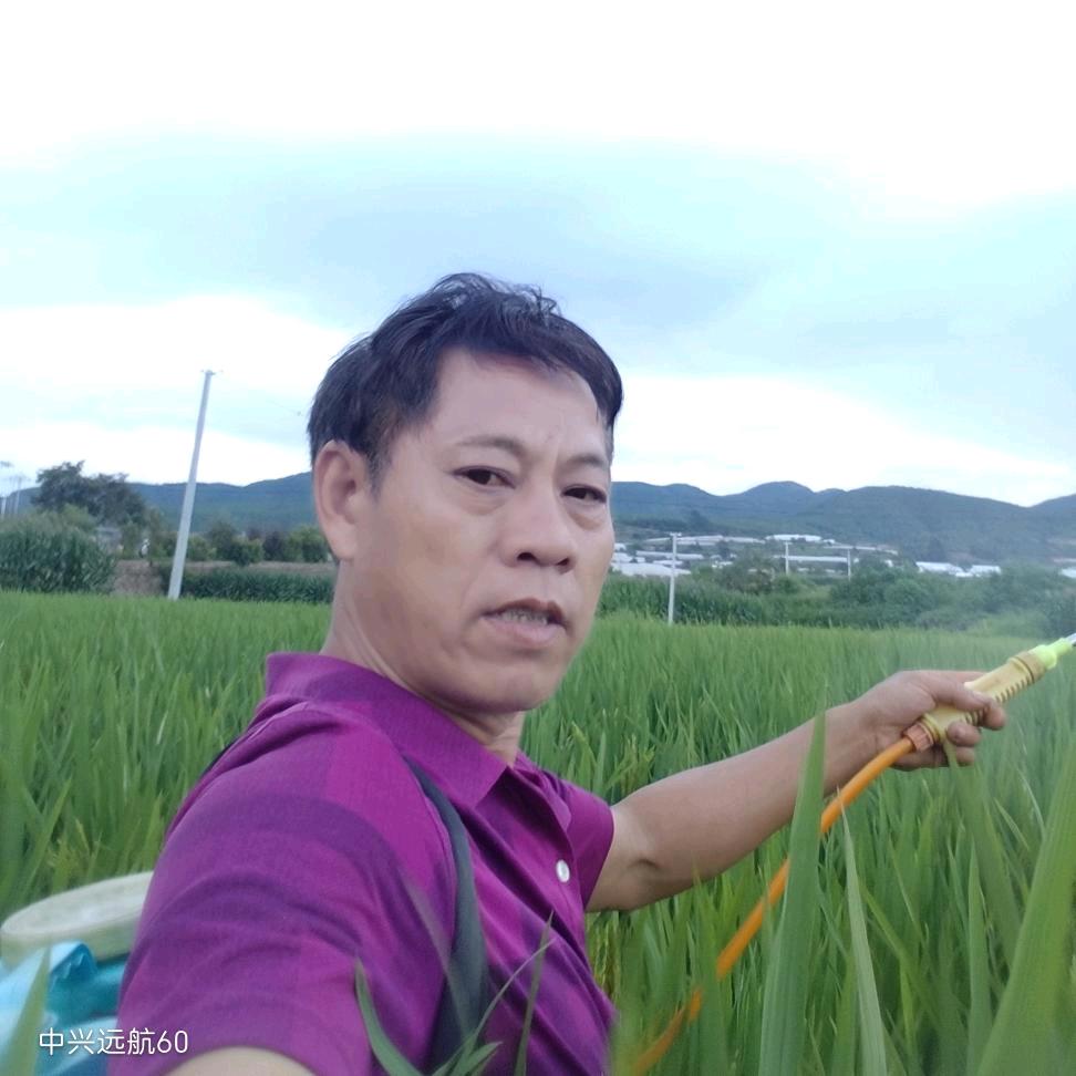 云南小颜山歌黄河州建水县曲江镇观音庙办事