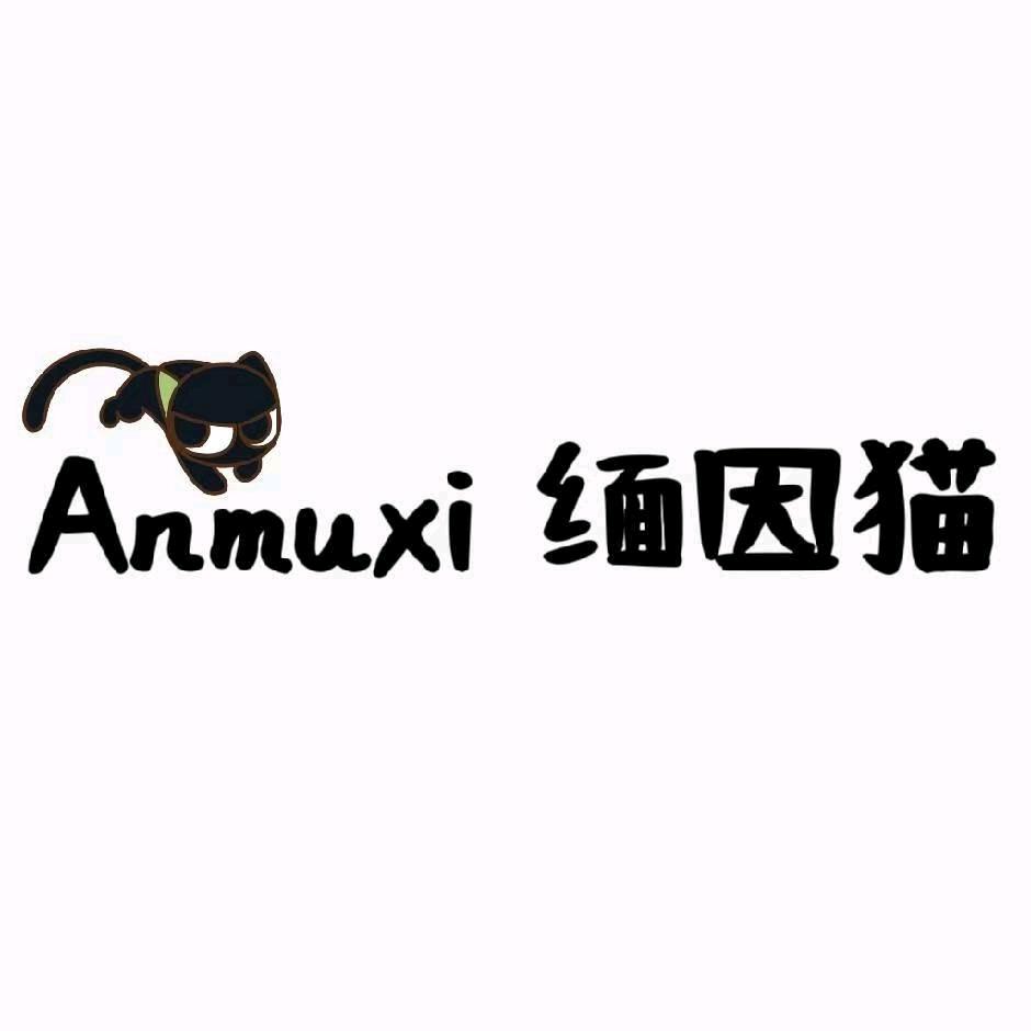 安慕希-缅因猫