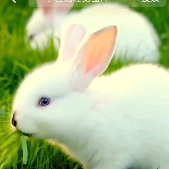 高军社：靓爽洗车行