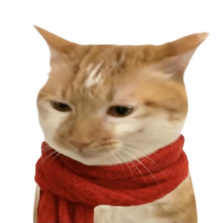 不晓得