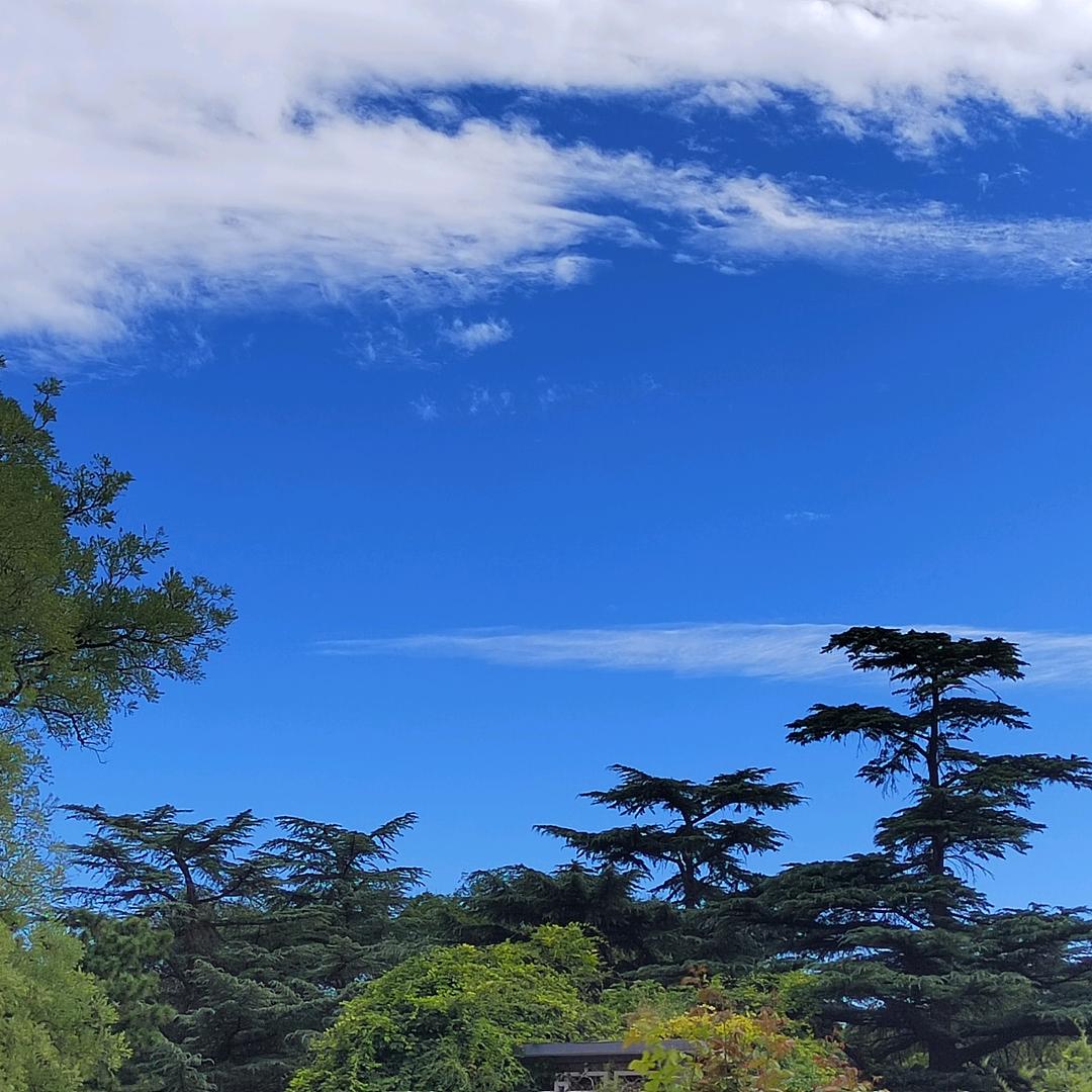 空空红天