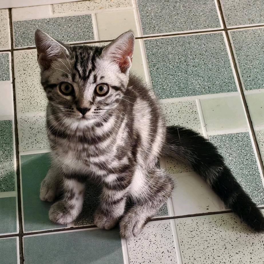 野熊爬行警报（十二公里加长版）