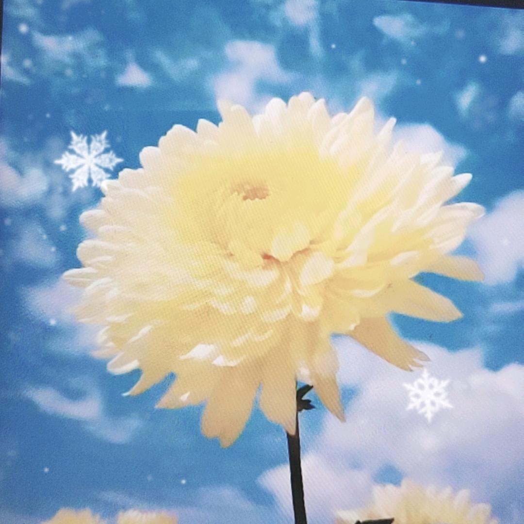 阿荣杂货铺