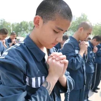 高墙电网的无奈