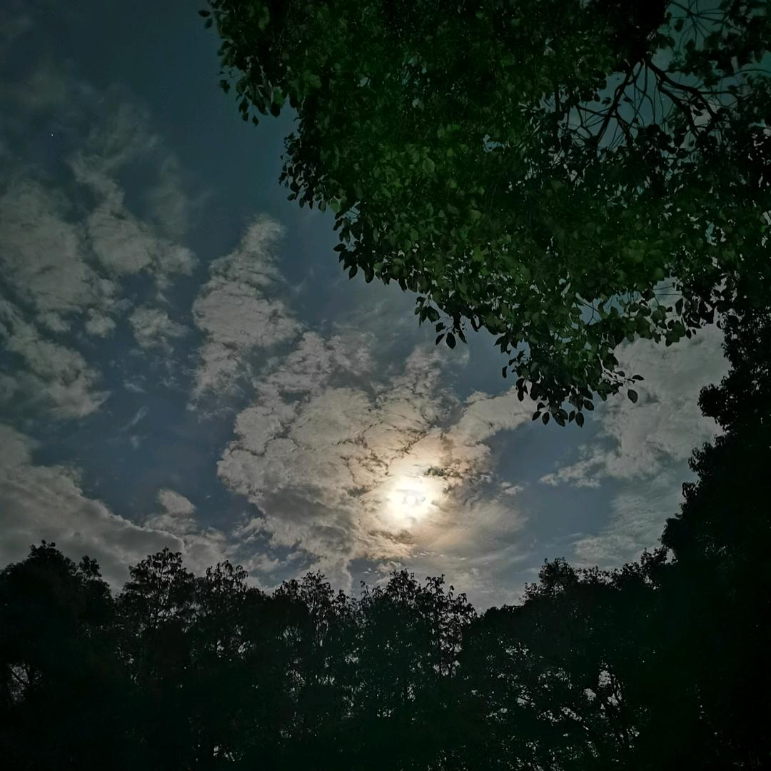 风霜三十载
