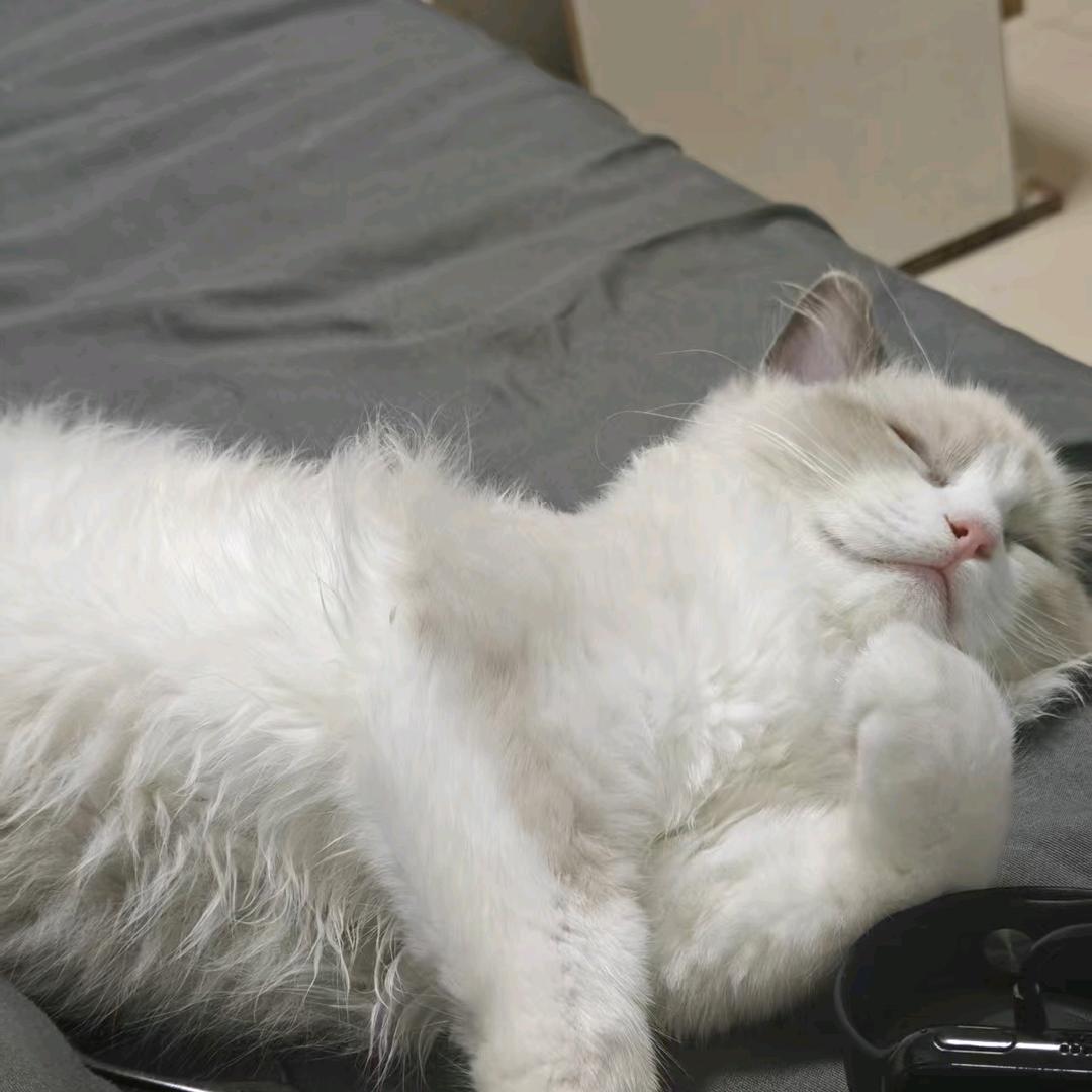 圈圈