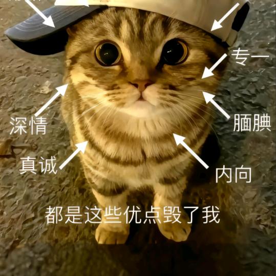 ℋᮁ໊释然꧔ꦿ༉ᩚ࿐