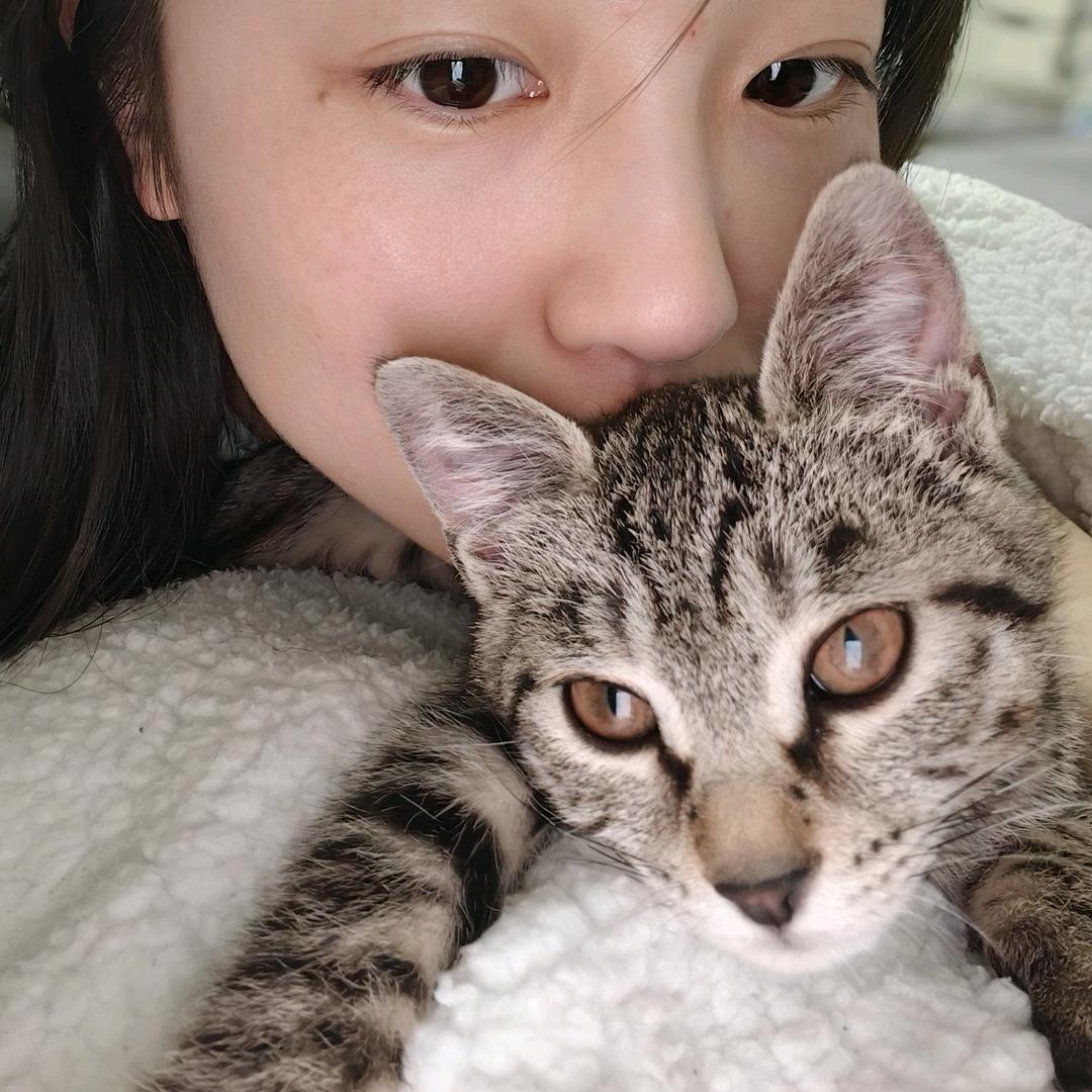 我是小白（🐱）