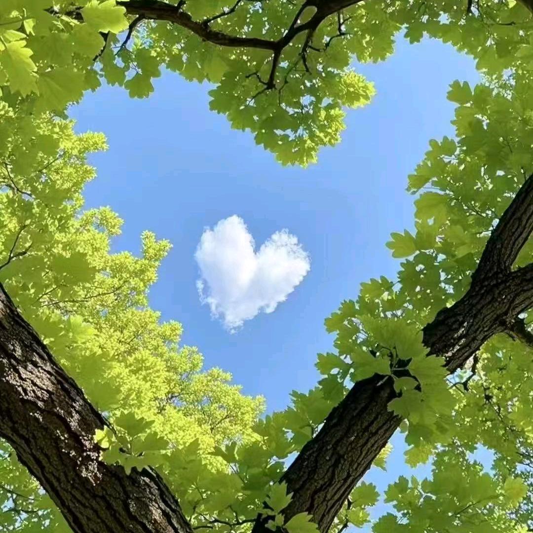 顶峰相见❥❥🎇🌠🏞🌃🌠🎆?