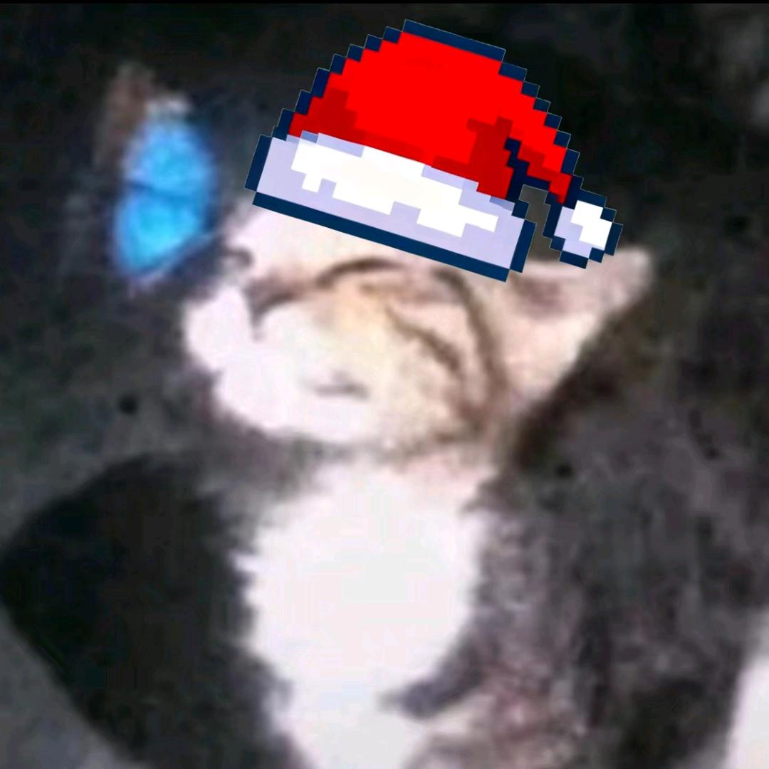 阳光面包🍞(在校版)