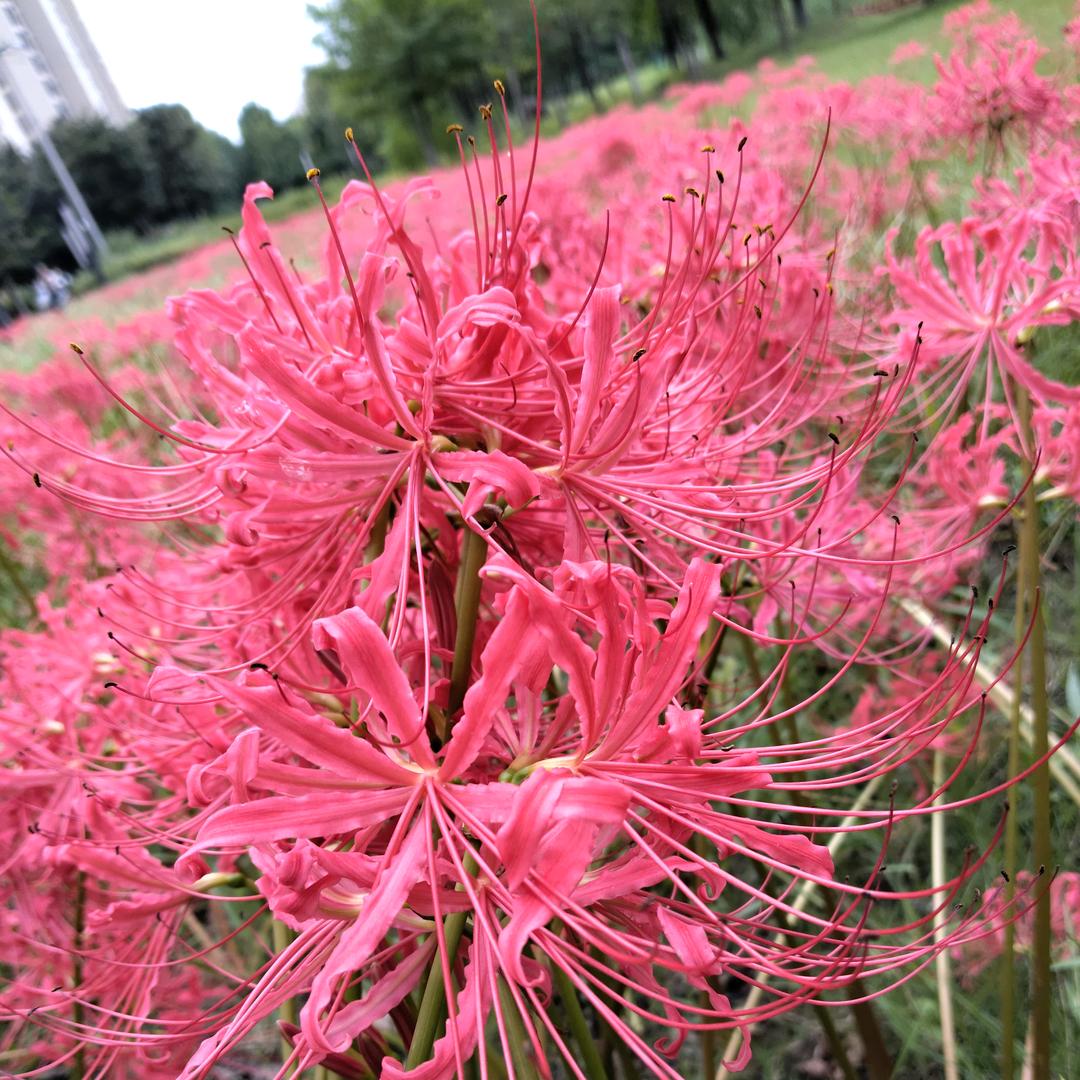 岁月